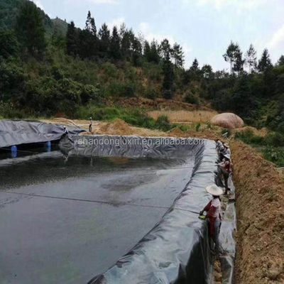 2mm Geomembrane HDPE Listo Fish Pond Liner Per Anti-Seepage Acqua Nei Luoghi di Deposizione