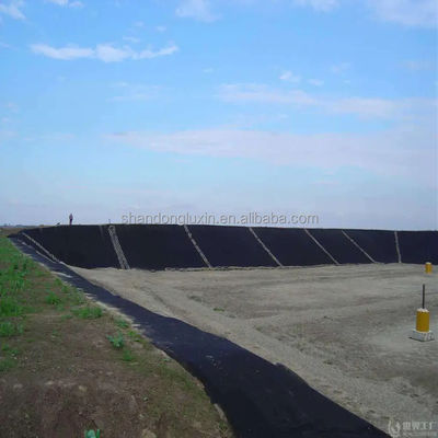 Acquaproof HDPE Fish Pond Liner 30mil 60 mils Geomembrana nera per serbatoi di stoccaggio dell'acqua