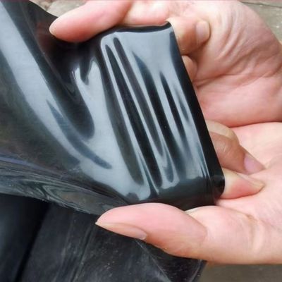 30 mil 60 mil HDPE Fish Pond Liner per l'acquacoltura Lunghezza 50-200m Venduto direttamente all'aperto