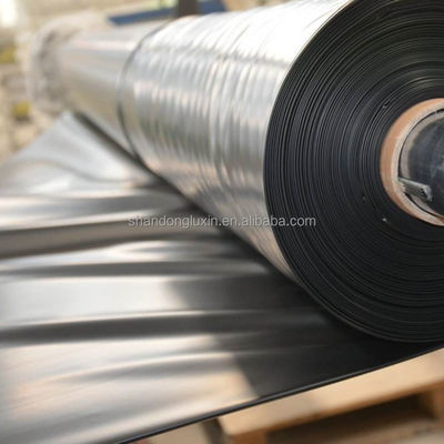 30 mil 60 mil HDPE Fish Pond Liner per l'acquacoltura Lunghezza 50-200m Venduto direttamente all'aperto