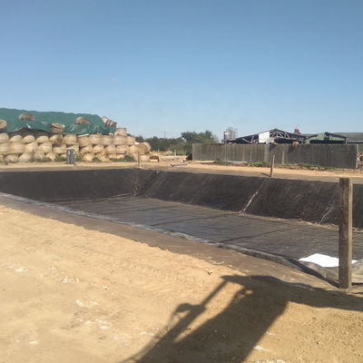 Superficie doppia liscia 0,5 mm per stagno di allevamento di pesci con geomembrana impermeabile