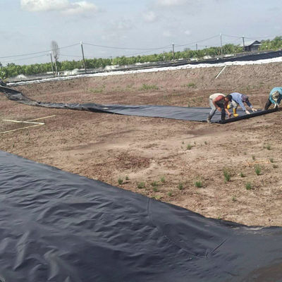 Larghezza da 1 a 8 m Doppio rivestimento di stagno in HDPE nero liscio per piscine