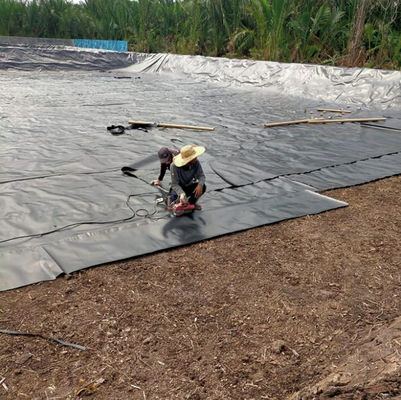 Larghezza da 1 a 8 m Doppio rivestimento di stagno in HDPE nero liscio per piscine