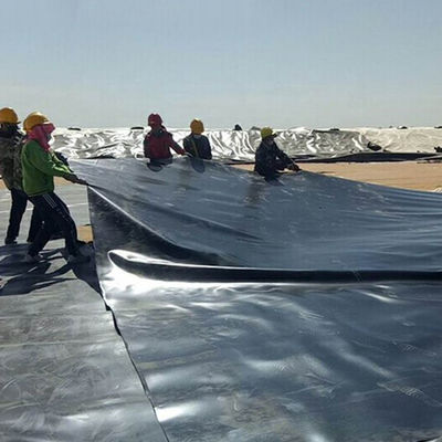 Larghezza da 1 a 8 m Doppio rivestimento di stagno in HDPE nero liscio per piscine