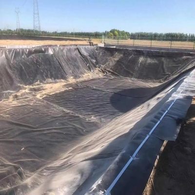 Larghezza da 1 a 8 m Doppio rivestimento di stagno in HDPE nero liscio per piscine