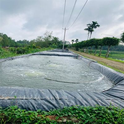 1.5mm Geomembrana di HDPE nera liscia per ambiente esterno