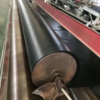 Materiale geomembrana liscia HDPE EVA 1 mm 1.5 mm per giardini sul tetto