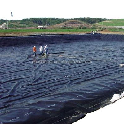 Materiale geomembrana liscia HDPE EVA 1 mm 1.5 mm per giardini sul tetto