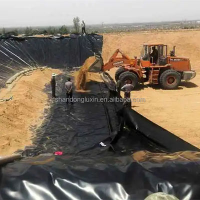 50-100m Lunghezza Bianco HDPE Dam Liner Geomembrana per l'Acquicoltura Pesca 1 mm Spessore