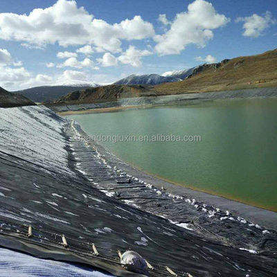 50-100m Lunghezza Bianco HDPE Dam Liner Geomembrana per l'Acquicoltura Pesca 1 mm Spessore