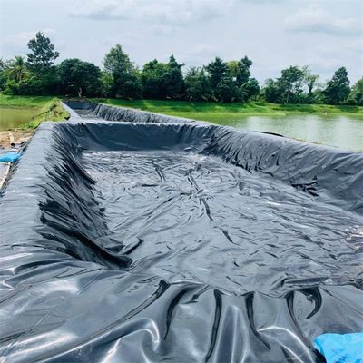 Membrana di plastica in lamiera di HDPE per serbatoi d'acqua e serbatoi di pesci in colore nero
