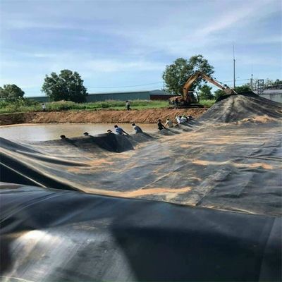 Membrana di plastica in lamiera di HDPE per serbatoi d'acqua e serbatoi di pesci in colore nero