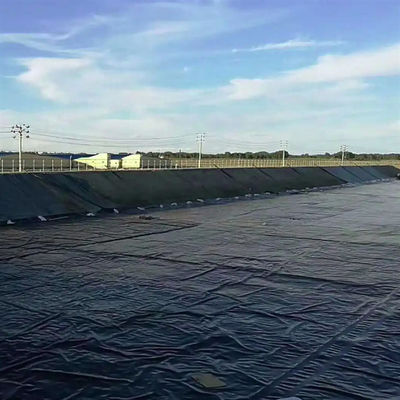 Geomembrana liscia in HDPE per acquacoltura
