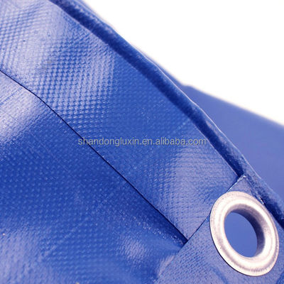 Tende da campeggio in PVC Tela 840DX840D-1300DX1300D rivestita per tende di pollame