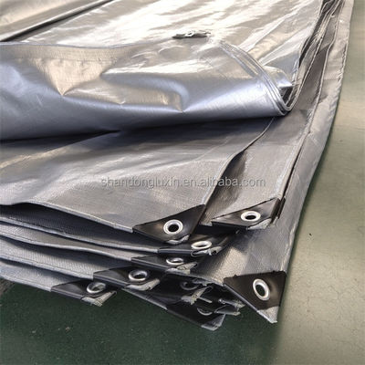 Richiesta del cliente Colore Blu PE Tarpaulin Cover Sheet con impermeabilità e larghezza 2-12m