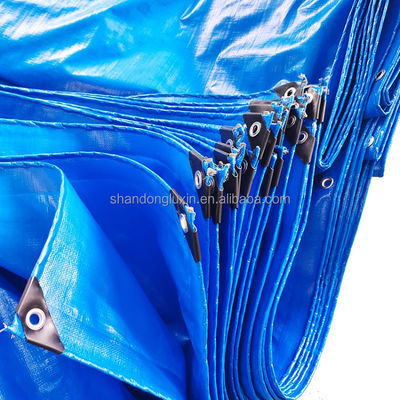 16*15-16*17 Densità Blu Tisana PE per tende impermeabile all'umidità e impermeabile alla pioggia