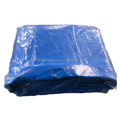 Protezione UV PE Tarpaulin Poli Tarpa in dimensioni standard Per agricoltura Copertura industriale