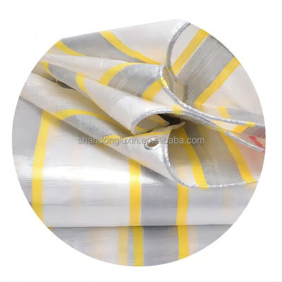 100% di Materiale Doppio Blu Bianco Nero Rosso Piastra di Tarpaolina PE Rivestita di Plastica