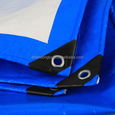 Tarpaolina PE di peso leggero blu-argento con densità di occhiali 6*6-16*16 sul mercato vietnamita