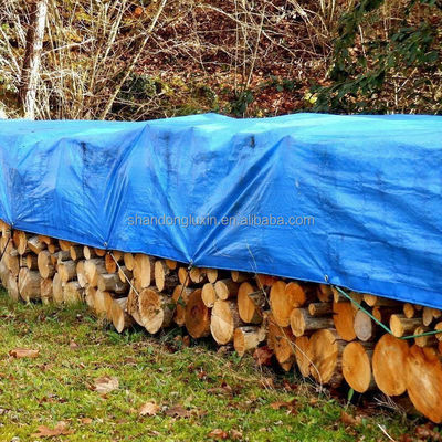 Tarpaolina in PE blu per tessitura esterna in HDPE e tetto laminato in LDPE copertura a prova di pioggia
