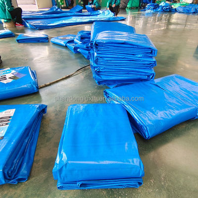 Stripe Style 50gm Blu PE Tarpaulin per prestazioni durature