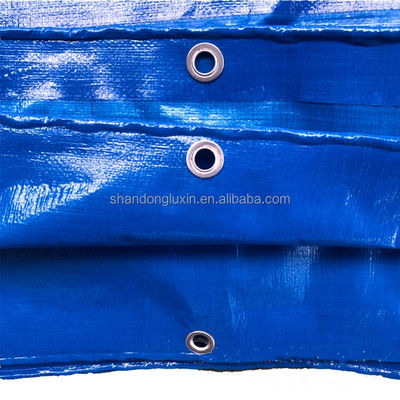 Stripe Style 50gm Blu PE Tarpaulin per prestazioni durature