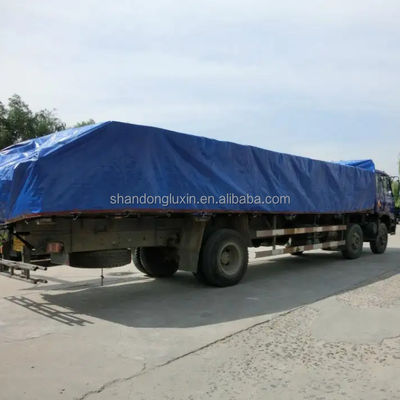 Doppia impermeabile blu piana copertura PE telone per il deposito dei camion Disegno personalizzato