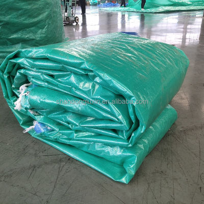 Fogli di trapaniera in tessuto a strisce per esterno 200 gsm Trapaniera verde pesante per il Pakistan