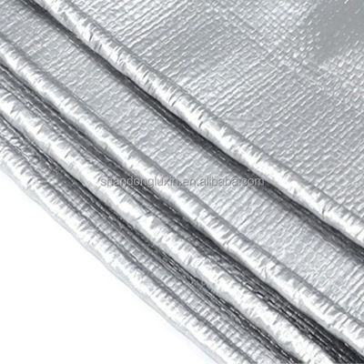 Larghezza da 2 a 12 m Pesante impermeabile PE Tarpaulin Sliver/Black Cover per industria all'aperto