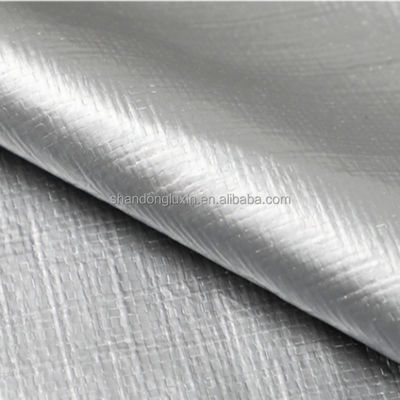 Larghezza da 2 a 12 m Pesante impermeabile PE Tarpaulin Sliver/Black Cover per industria all'aperto